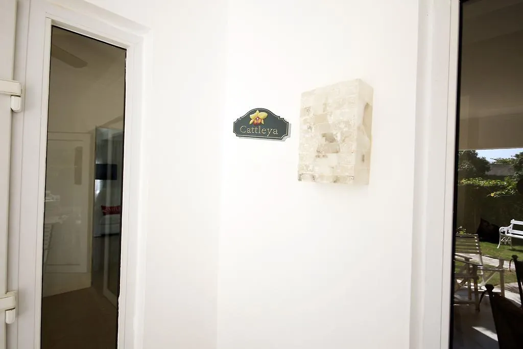 Exquisite Guest Apartments Cattleya Kingston