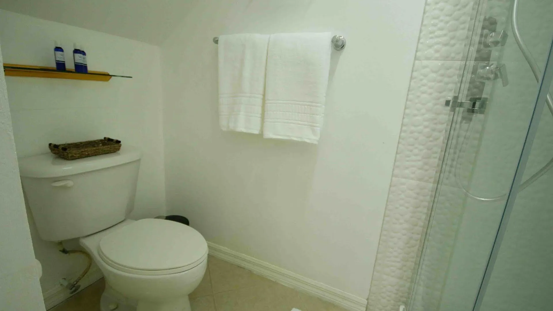 קינגסטון Exquisite Guest Apartments Cattleya