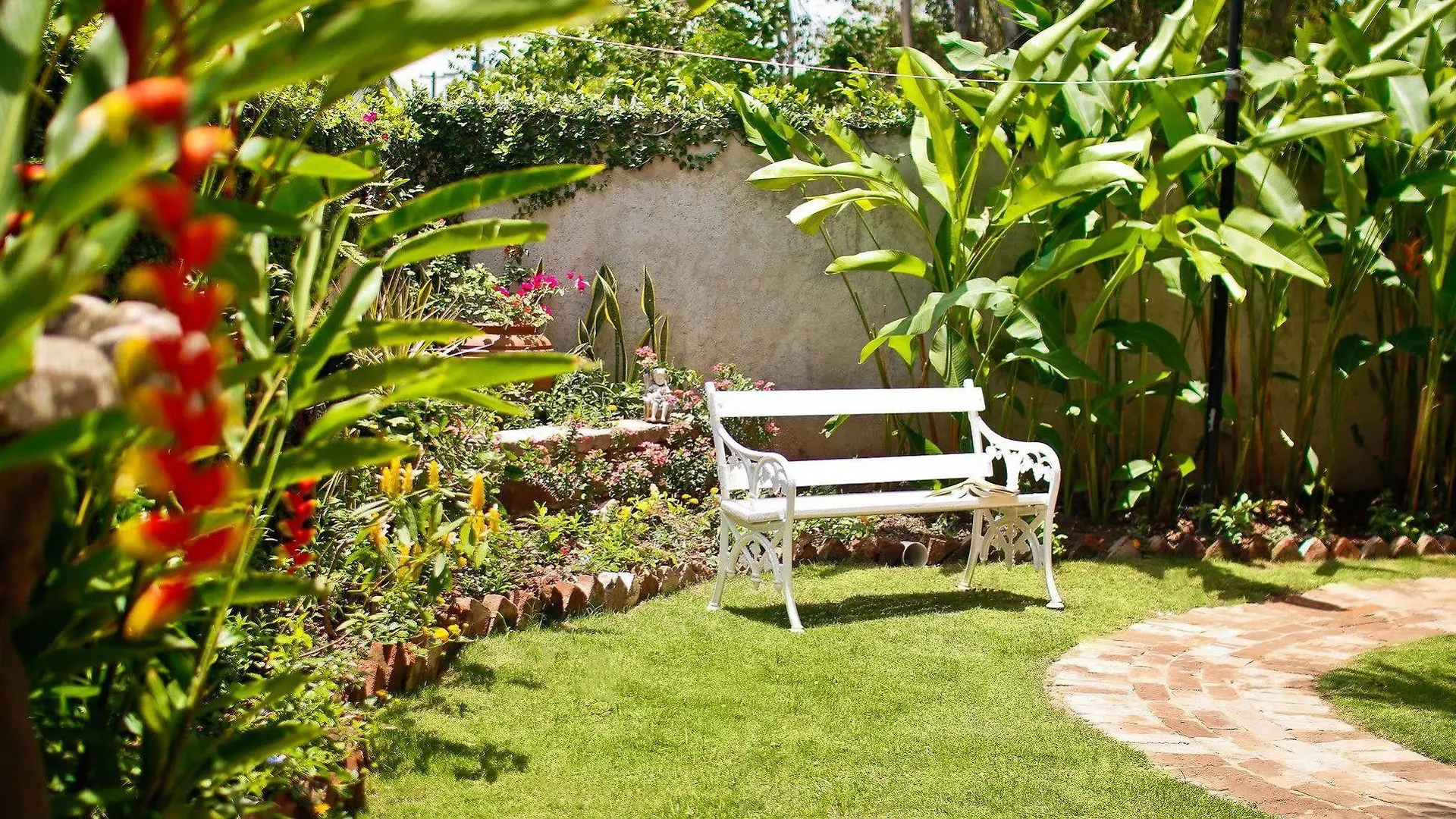 קינגסטון Exquisite Guest Apartments Cattleya
