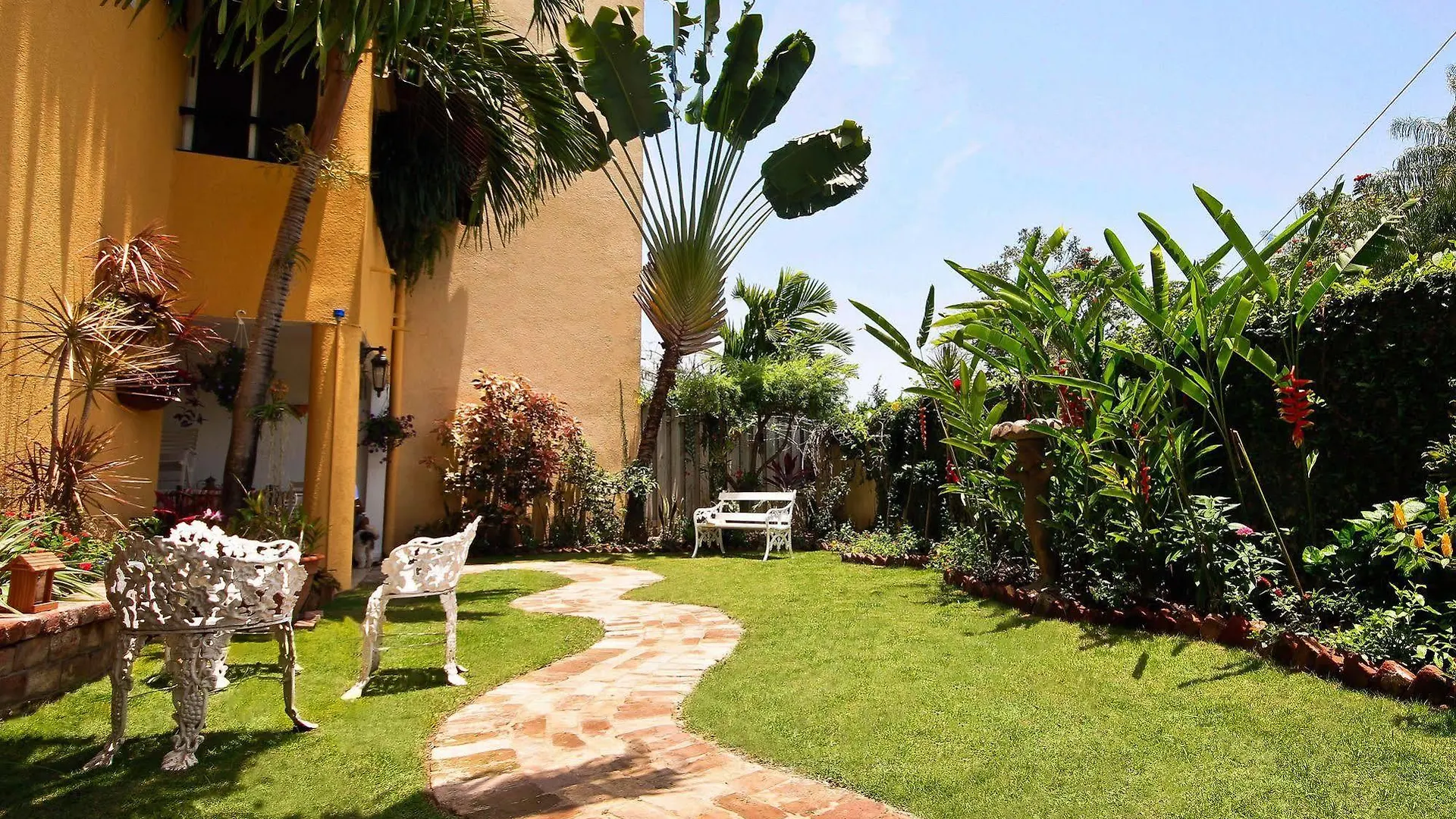 קינגסטון Exquisite Guest Apartments Cattleya ג'מייקה