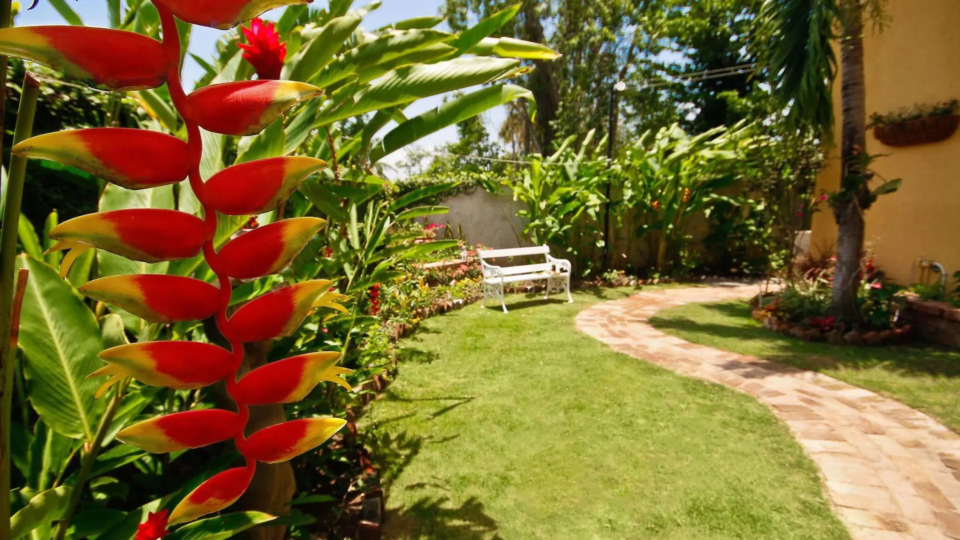 קינגסטון Exquisite Guest Apartments Cattleya